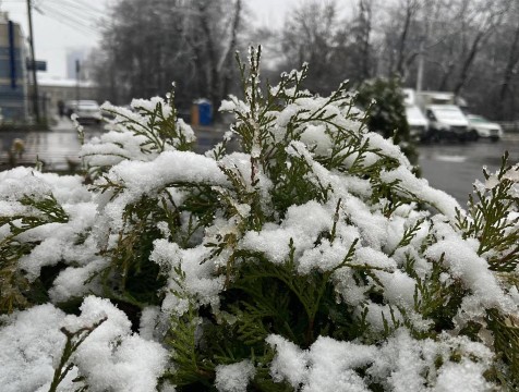В Калужской области выпал первый снег и ожидается гололёд