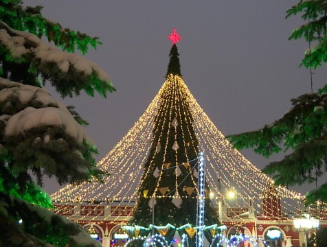 33 искусственные ёлки установят в Калуге