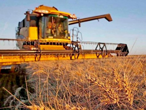 273 тысячи тонн зерна собрали в Калужской области