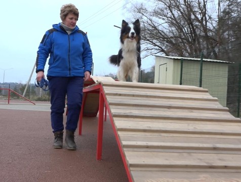 Калужане оценили новую площадку для собак на Яченском водохранилище в Калуге