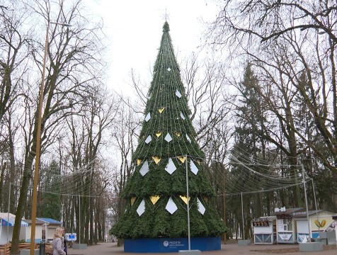 Калуга и область заранее погружаются в новогоднюю атмосферу
