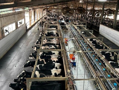 Вьетнамский концерн реализует три проекта в Калужской области