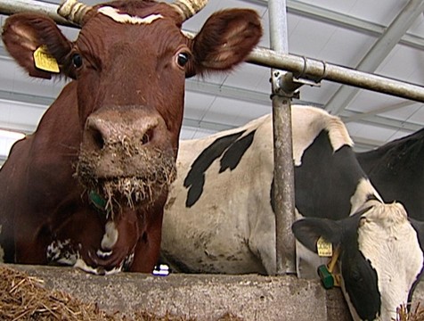 Калужская область экспортирует продукцию АПК в 38 стран