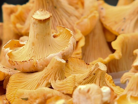 Калужские предприятия экспортируют продукцию в 70 стран мира