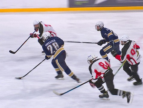 День хоккея отмечают в России