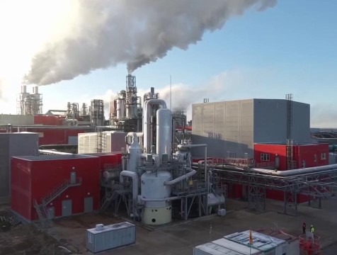 Пятый завод по деревообработке запустили на площадке ОЭЗ в Людинове