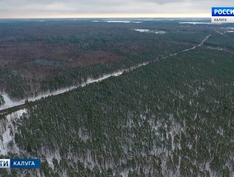 В регионе объединят министерства лесного хозяйства с министерством экологии и природных ресурсов